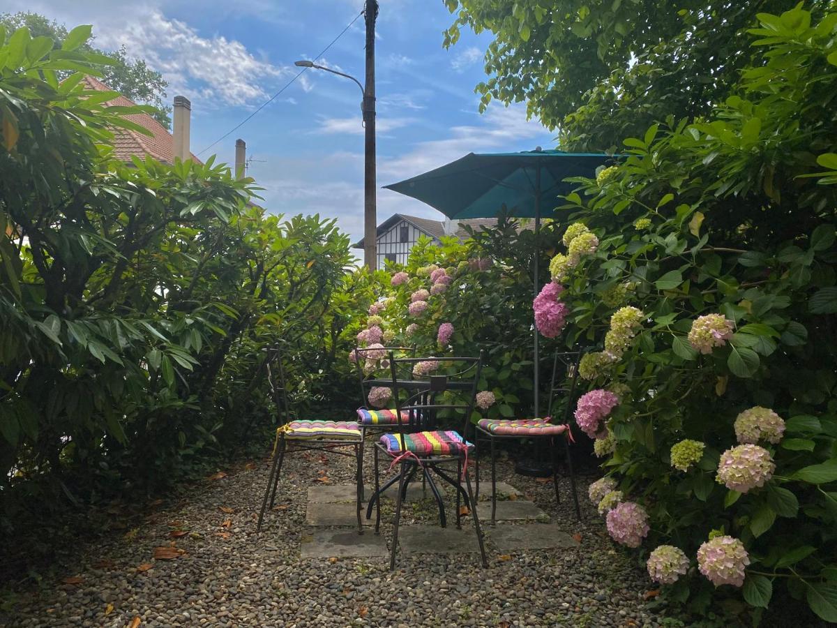 Agreable Petit Gite Avec Piscine Et Jardinet 萨利-德贝阿恩 外观 照片
