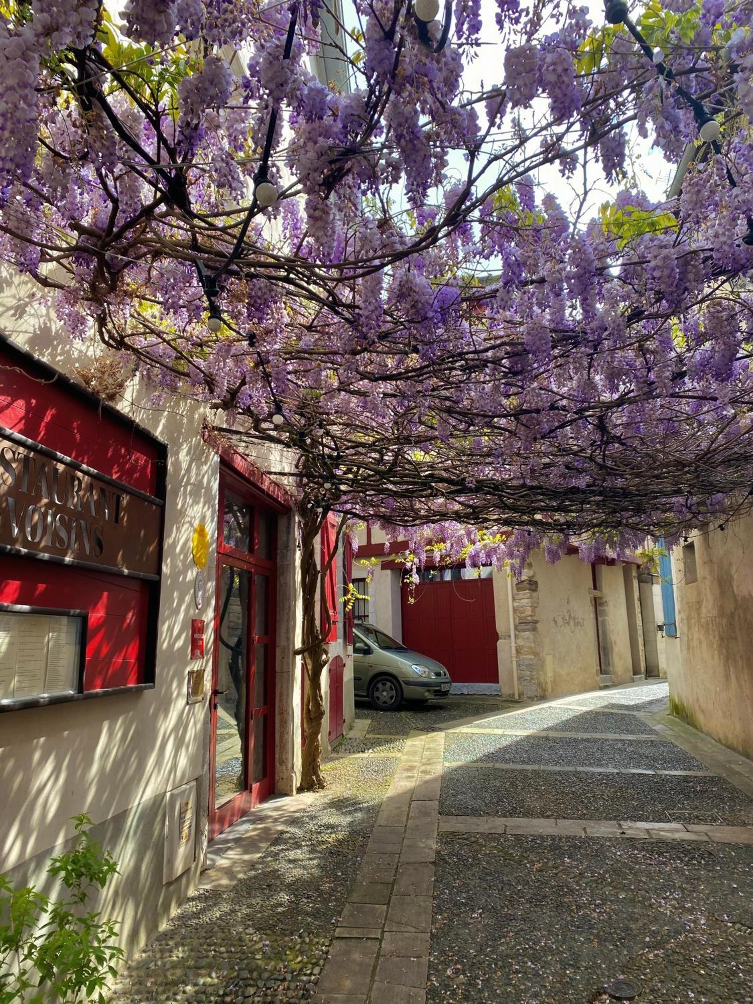 Agreable Petit Gite Avec Piscine Et Jardinet 萨利-德贝阿恩 外观 照片
